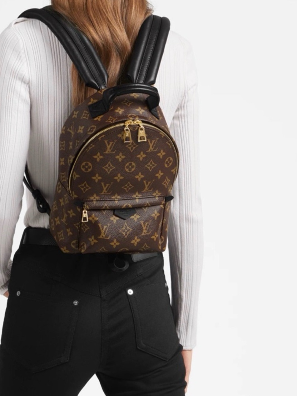 Louis Vuitton Palm Springs PM Monogram Backpack